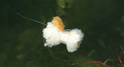 Zig & upevnění chleba