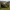 Avid Carp Inflatahouse - Compact - Block Gazebo - KarperCentrale