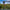 Avid Carp Revolve Bobbin Swinger® Arm - KarperCentrale