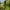Avid Carp VTX+ - 4+1 - Beetmelder set - KarperCentrale