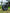 Carp Porter Stealth Carp Porter Green       - KarperCentrale