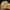 CC Solution Boilies Kant-en-klare Seed Mix 5KG – Gekookt lokaas voor karper - KarperCentrale
