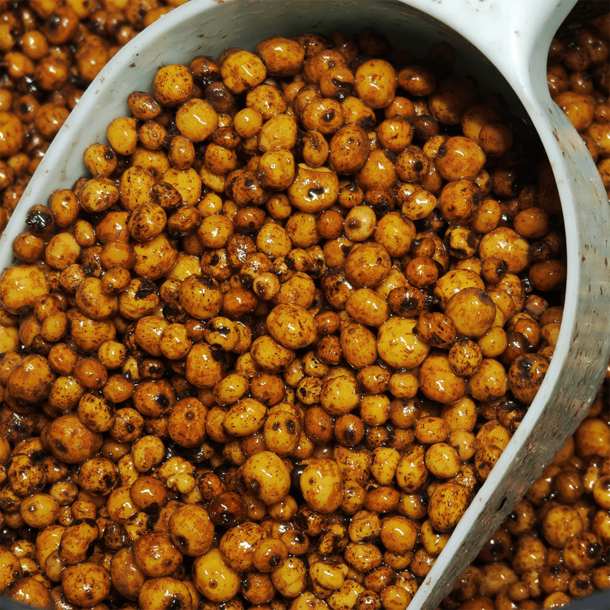 CC Solution Boilies Kant-en-klare Tijgernoten - Honey Boosted - Vers - 5KG - KarperCentrale