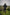 Korda Insulated Hooded Jacket - Dark Kamo - KarperCentrale