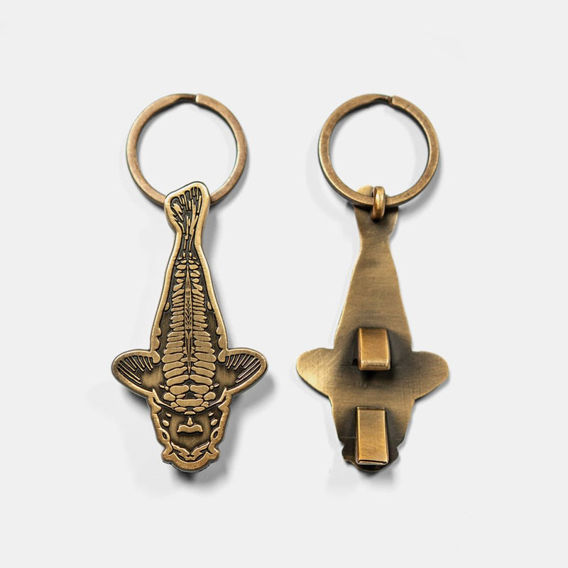 Otevírák na lahve - Nový měsíc