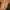 PB Products Compleet - R2G Inline SR - Leader 90cm - Line Aligner Rig - KarperCentrale