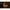 Pole Position Tungsta Corn Shot - KarperCentrale