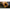 Pole Position Tungsta Corn Shot - KarperCentrale