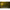Pole Position Tungsta Corn Shot - KarperCentrale