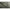 Prologic C - Series - Brolly System - 65'' - KarperCentrale