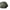 Prologic C - Series - Brolly System - 65'' - KarperCentrale