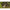 Solar Tackle Undercover - 13ft - Single Rod Sleeve - Camo - KarperCentrale