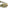 Trakker NiteLife - Headtorch 220M - KarperCentrale