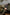 Trakker NXG - Buzzer Bar Bag - KarperCentrale